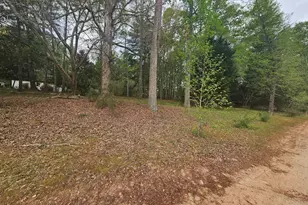 921 Deer River Road SE, Monroe, GA 30656 - Photo 16