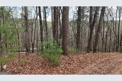 Lot 8 Settlement Lane, Tiger, GA 30576 - Photo 1