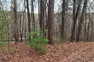 Lot 8 Settlement Ln, Tiger, GA 30576 - Photo 1