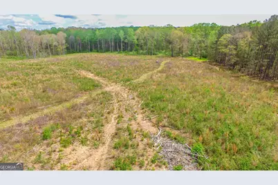 2185 Highway 85, Senoia, GA 30276 - Photo 2