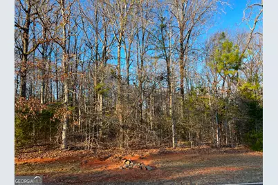 102 Gardens Drive, Forsyth, GA 31029 - Photo 1