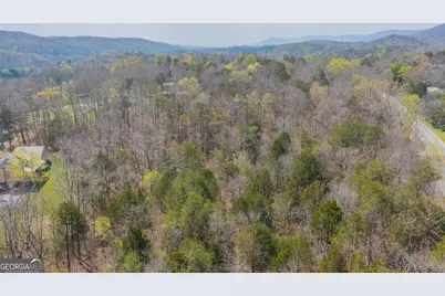 1007 Kendricks Switch Road #TRACT 2, Chickamauga, GA 30707 - Photo 2