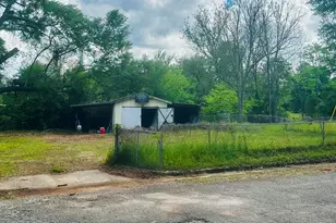 237 Bray St, Leary, GA 39862 - Photo 6