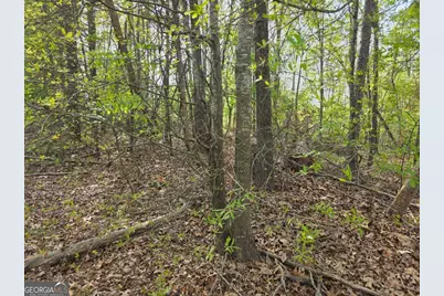 Lot 77 Lake Club Circle, Lavonia, GA 30553 - Photo 2
