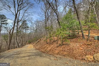 Lot 29 Forest Drive, Morganton, GA 30560 - Photo 10