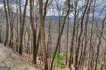 Lot 29 Forest Drive, Morganton, GA 30560 - Photo 4