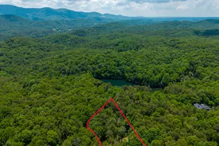 40 Lakeside Drive, Blue Ridge, GA 30513 - Photo 40