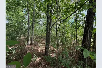 1868 Cedar Grove Road, Conley, GA 30288 - Photo 4
