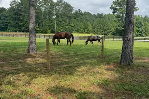 950 Island Shoals Rd, Jackson, GA 30233 - Photo 16