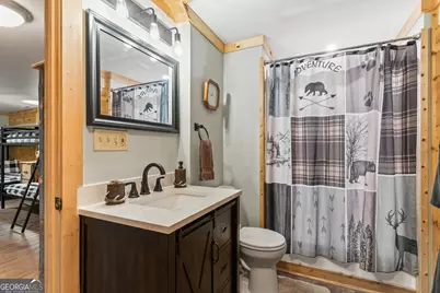 283 Black Gum Lane, Blue Ridge, GA 30513 - Photo 42