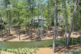 1080 Quail Ridge Way, Greensboro, GA 30642 - Photo 56