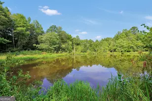 2186 Williamson Zebulon Rd, Williamson, GA 30292 - Photo 52