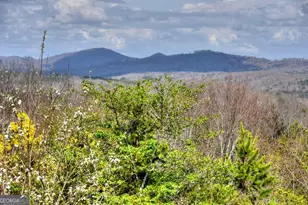 185 Logan Dr, Mineral Bluff, GA 30559 - Photo 26