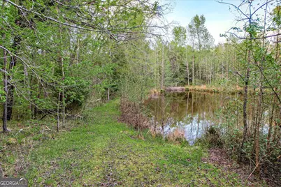 6995 Cobbham Road, Applin, GA 30802 - Photo 2