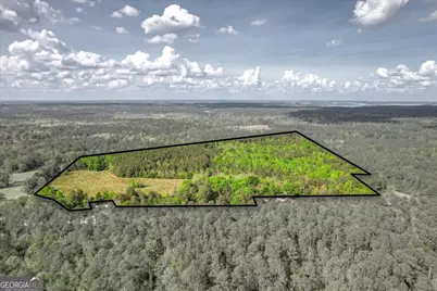 6995 Cobbham Road, Applin, GA 30802 - Photo 8