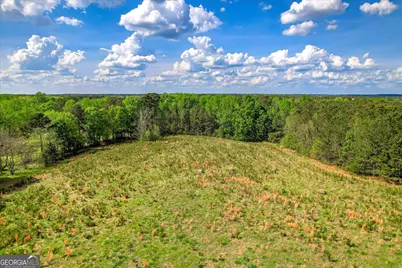 6995 Cobbham Road, Applin, GA 30802 - Photo 12