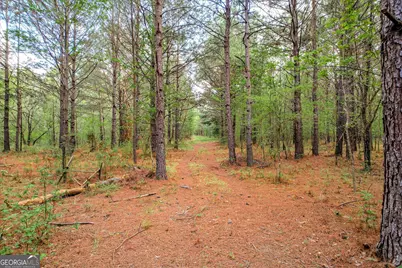 6995 Cobbham Road, Applin, GA 30802 - Photo 1