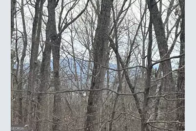 0 Brumby Run #8, Blairsville, GA 30512 - Photo 8