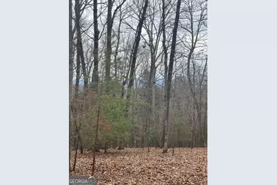 0 Brumby Run #8, Blairsville, GA 30512 - Photo 6