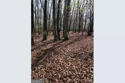 0 Brumby Run #8, Blairsville, GA 30512 - Photo 12