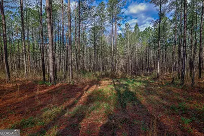 0 Highway 22 Highway N, Sparta, GA 31087 - Photo 10