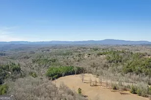 560 Endless View Rd, Mineral Bluff, GA 30559 - Photo 38