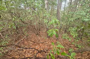 35 Vienna Ring, Helen, GA 30545 - Photo 1