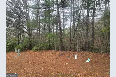 35 Vienna Ring, Helen, GA 30545 - Photo 2