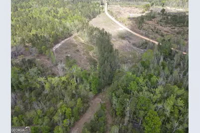 0 Old Dellwood Road, Swainsboro, GA 30401 - Photo 6