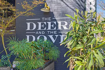 422 Cedar Dust Drive, Decatur, GA 30030 - Photo 64