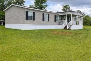 2160 Donald Cobb Rd, Bartow, GA 30413 - Photo 1