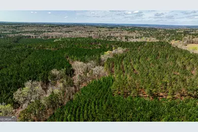 250 Linton Rd., Milledgeville, GA 31061 - Photo 10