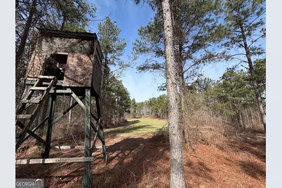 250 Linton Rd., Milledgeville, GA 31061 - Photo 2