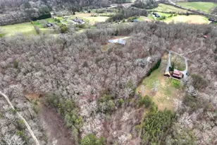 260 Bailey Farm Dr, Mineral Bluff, GA 30559 - Photo 38