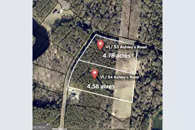 Vl/53 Vl/54 Ashleys's Rd, White Oak, GA 31568 - Photo 2