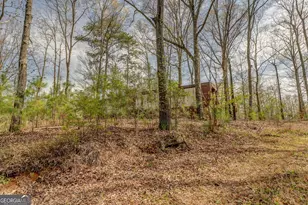 3585 Old Hwy 100 S, Tallapoosa, GA 30176 - Photo 1