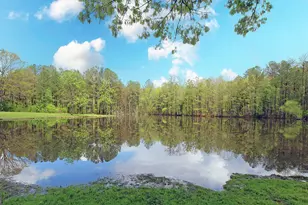 1792 Old Summerville Rd NW, Rome, GA 30165 - Photo 84