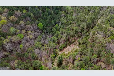 78 Acres Cross Plains Rd Road, Carrollton, GA 30116 - Photo 12