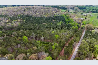 78 Acres Cross Plains Rd Road, Carrollton, GA 30116 - Photo 4