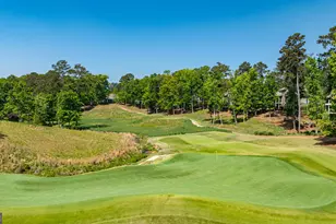 2051 Sandy Ford, Greensboro, GA 30642 - Photo 6