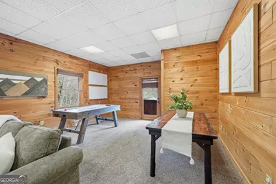 133 Dallas Lane, Blue Ridge, GA 30513 - Photo 36