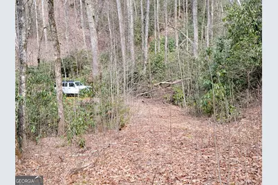 0 Bald Mountain #55,57, Dillard, GA 30537 - Photo 2