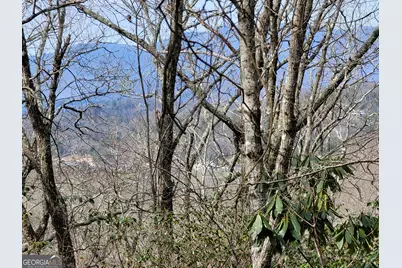 0 Bald Mountain #55,57, Dillard, GA 30537 - Photo 16