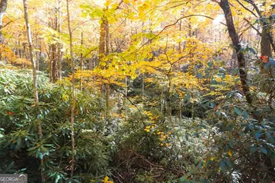 0 Bald Mountain #55,57, Dillard, GA 30537 - Photo 20