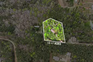 2533 McFarlin Bridge Rd, Carnesville, GA 30521 - Photo 34