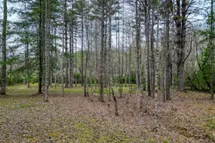 407 Highland Trace, Blairsville, GA 30512 - Photo 54