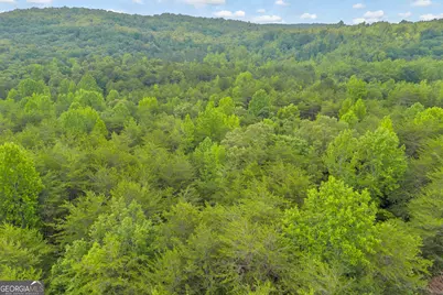 0 Trembly Bald Road, Toccoa, GA 30577 - Photo 26