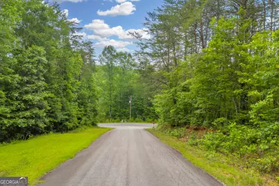 0 Trembly Bald Road, Toccoa, GA 30577 - Photo 16