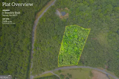 0 Trembly Bald Road, Toccoa, GA 30577 - Photo 1