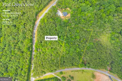 0 Trembly Bald Road, Toccoa, GA 30577 - Photo 2